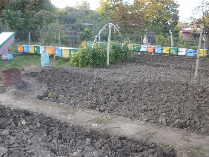 PA140258 - Vatra 10_2012