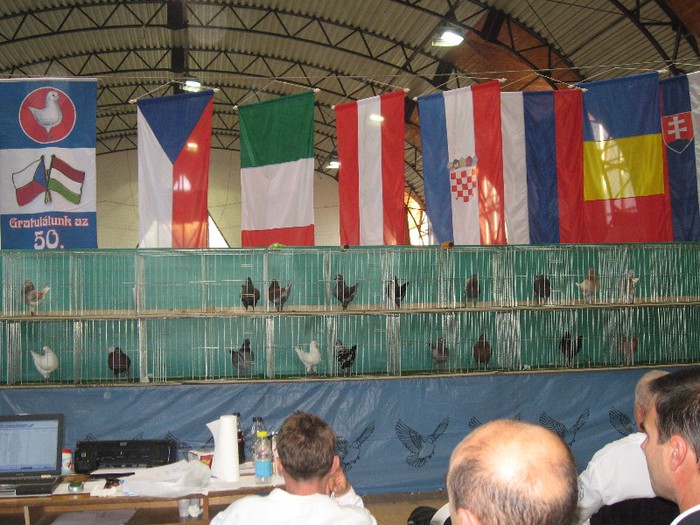 IMG_4775 - SOLT 2012 TINERET