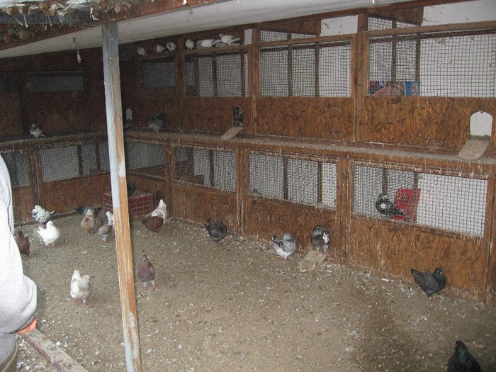 IMG_4811 - SOLT 2012 TINERET