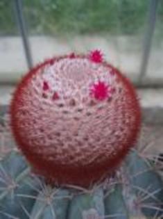 LGEJRKXXFKDAPMWIYEN - Va place