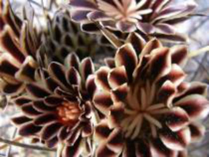 XFOSOLELMXKMQYIDNBV - Va place