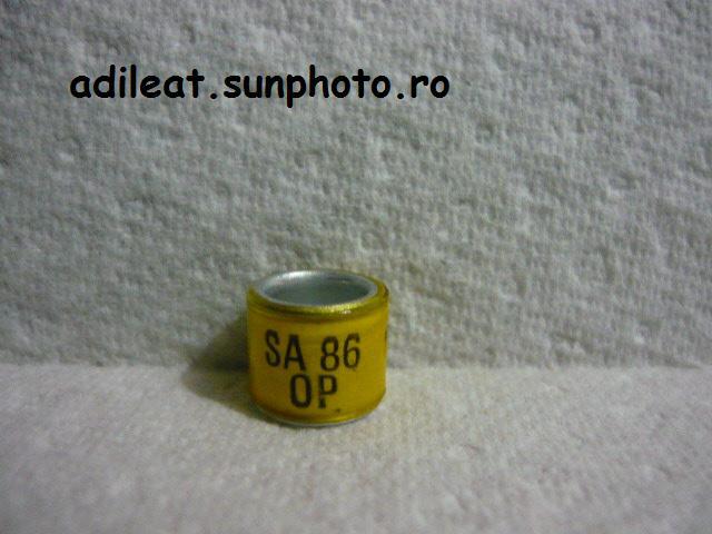 SA-1986-OP - AFRICA DE SUD-SA-ring collection