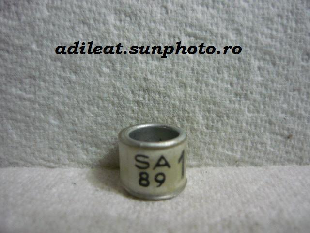 SA-1989 - AFRICA DE SUD-SA-ring collection