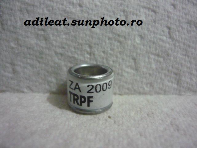 SA-2009-TRPF - AFRICA DE SUD-SA-ring collection