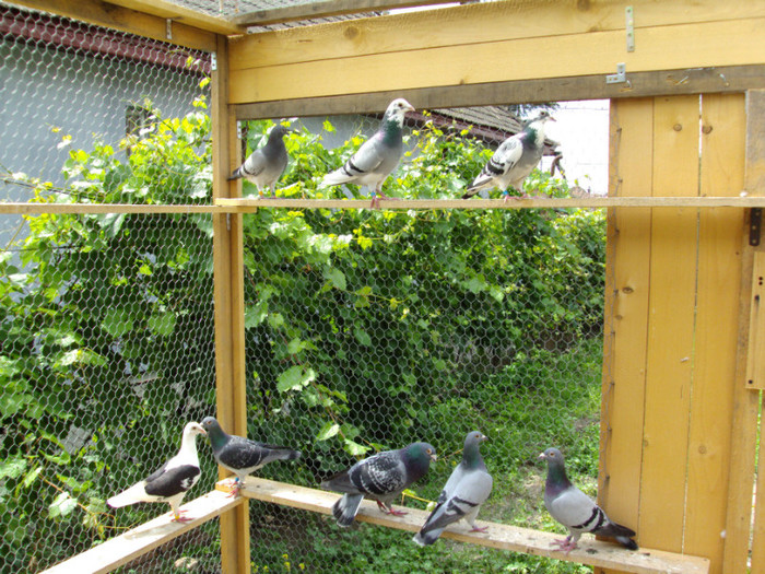 DSC00414