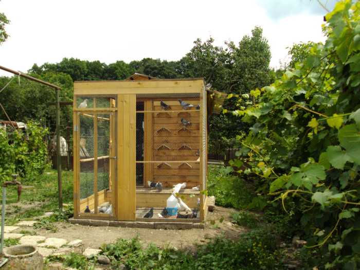 DSC00448 - Cursierii vazduhului