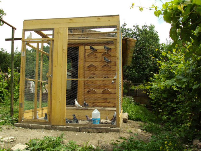 DSC00450 - Cursierii vazduhului