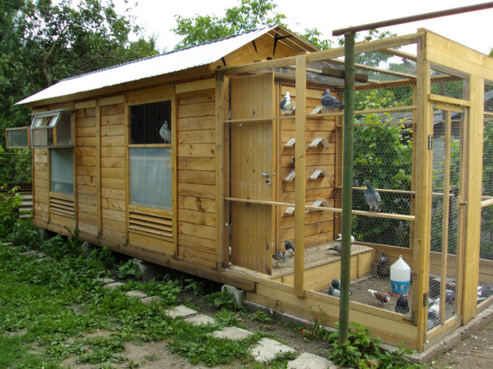 DSC00492 - Cursierii vazduhului