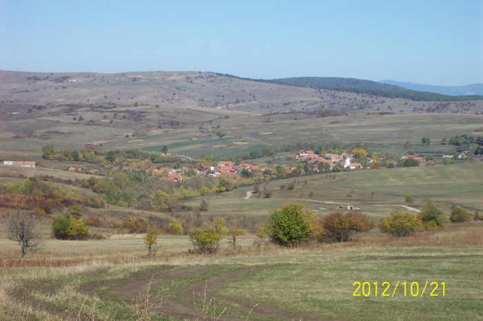 Copy of 101_0501
