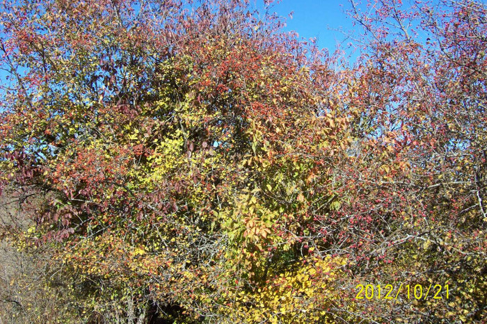 Copy of 101_0497
