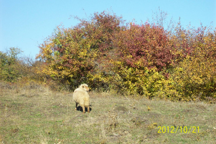 Copy of 101_0499