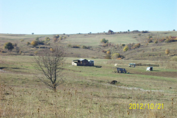 Copy of 101_0465
