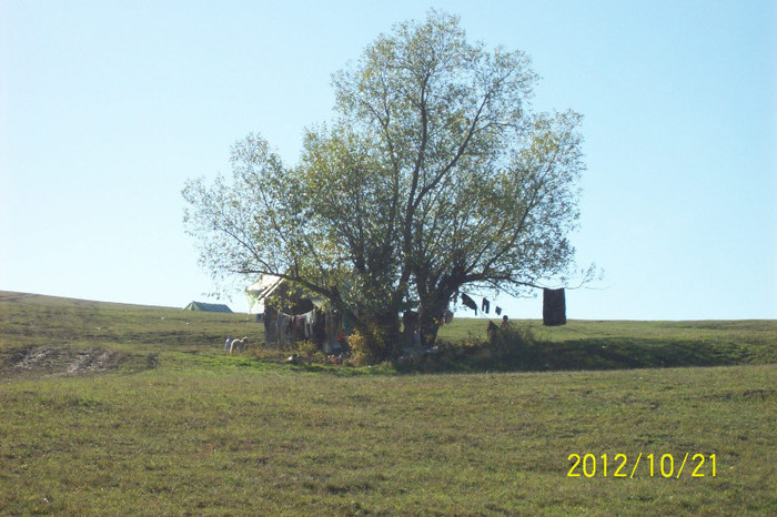 Copy of 101_0466
