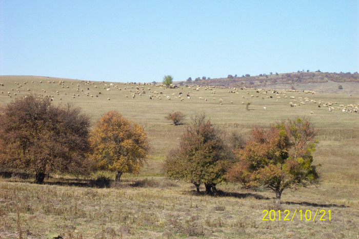 Copy of 101_0468