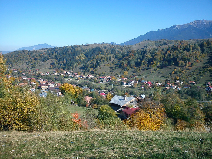 DSC00054