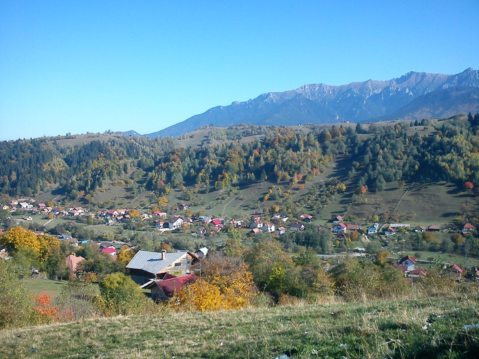 DSC00055