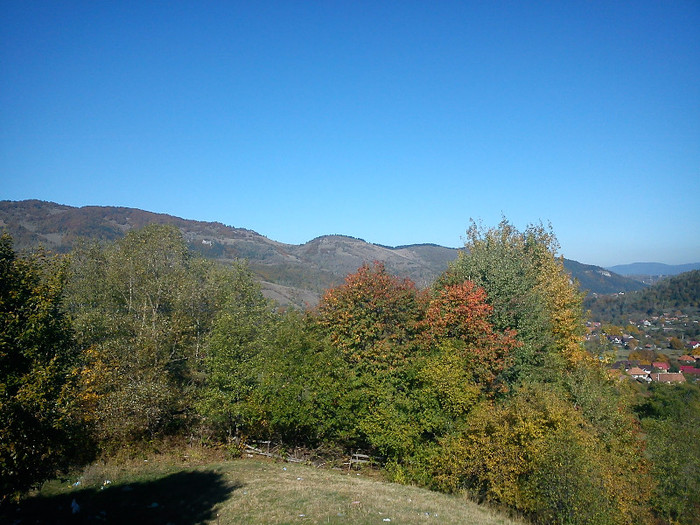 DSC00057