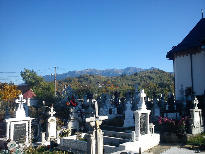 DSC00065