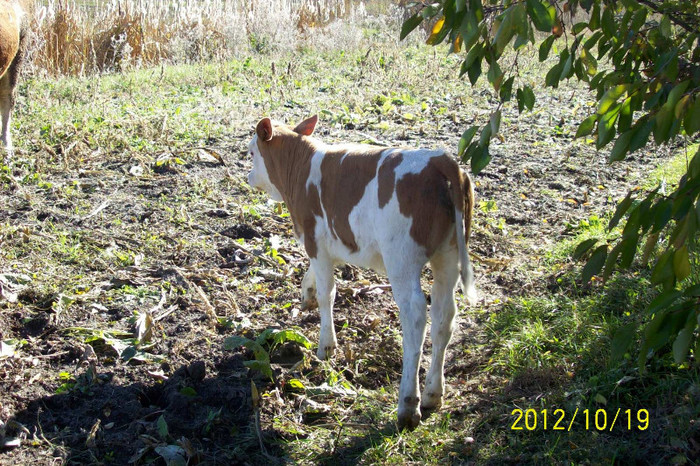Copy of 101_0423