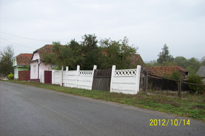 101_0196 - Case vechi traditionale din satul Palos-Ardeal