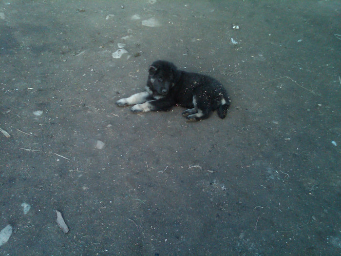 IMG00131-20121023-1723