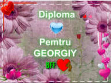 GEORGIY - Diplome pentru cele mai bune syse