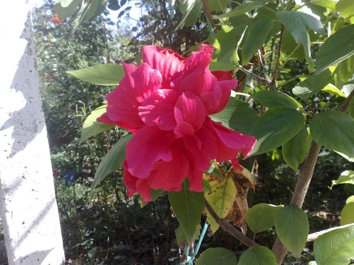 05