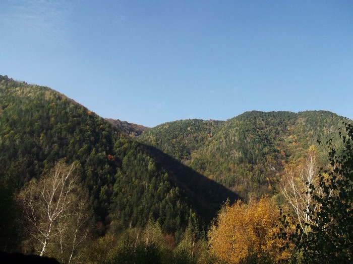Picture 257 - 16 targ sasciori 24 10 2012