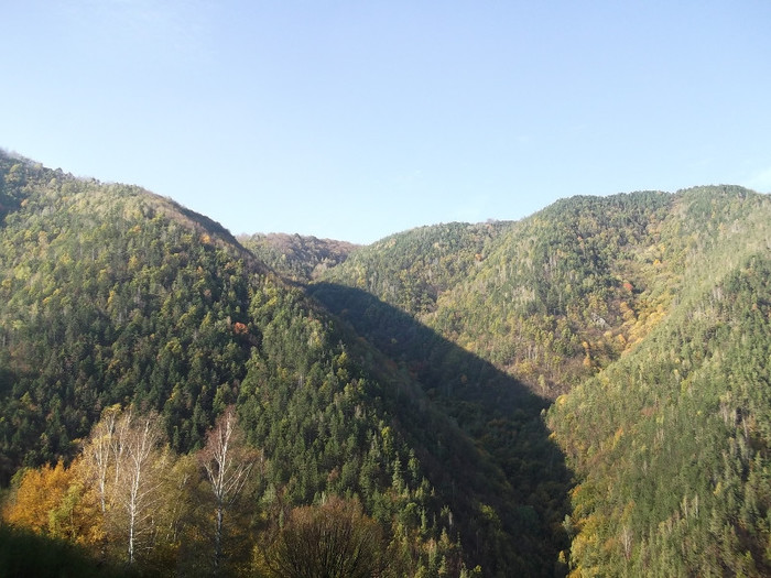Picture 259 - 16 targ sasciori 24 10 2012
