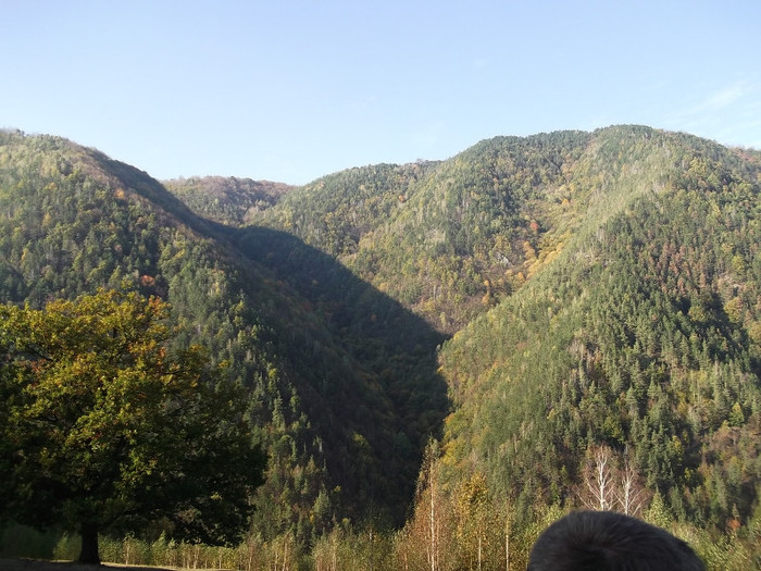 Picture 262 - 16 targ sasciori 24 10 2012
