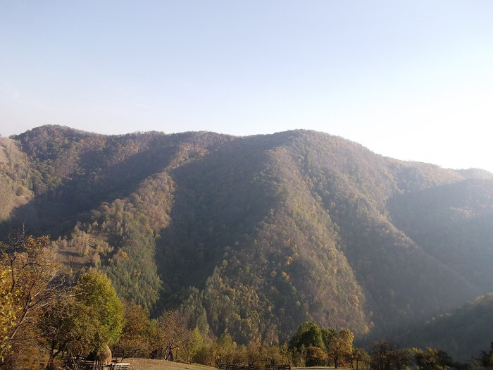 Picture 265 - 16 targ sasciori 24 10 2012