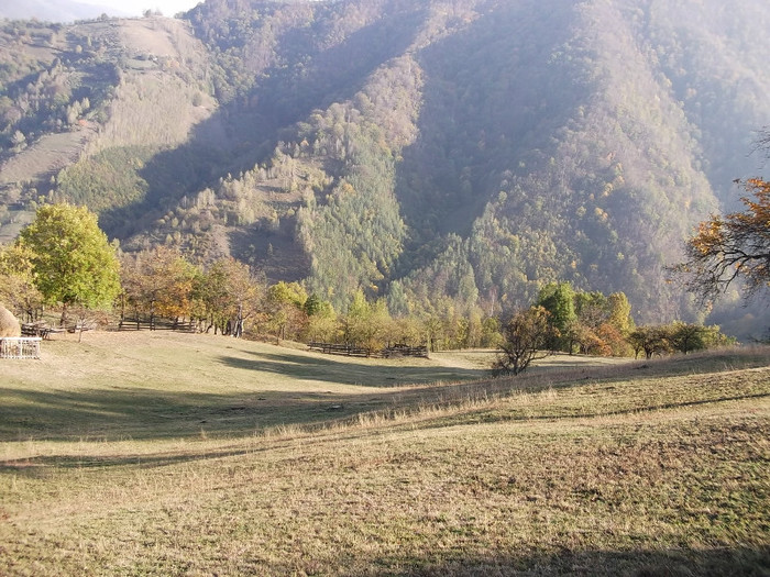 Picture 266 - 16 targ sasciori 24 10 2012