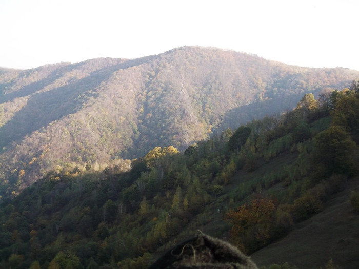 Picture 272 - 16 targ sasciori 24 10 2012