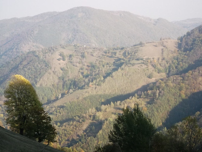 Picture 281 - 16 targ sasciori 24 10 2012