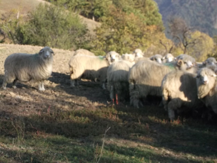 Picture 308 - 16 targ sasciori 24 10 2012