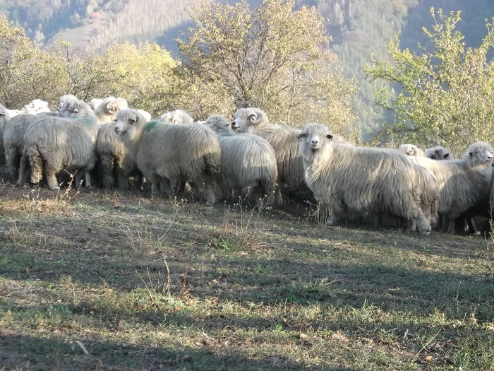 Picture 310 - 16 targ sasciori 24 10 2012