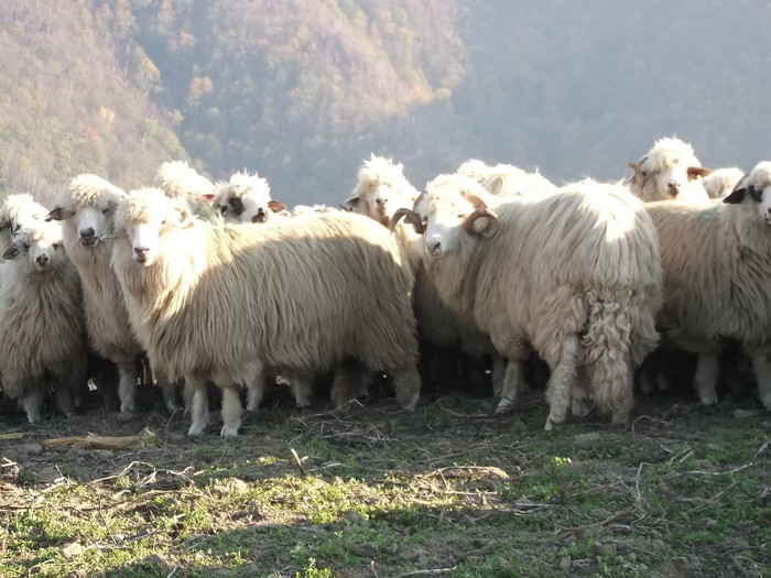 Picture 325 - 16 targ sasciori 24 10 2012