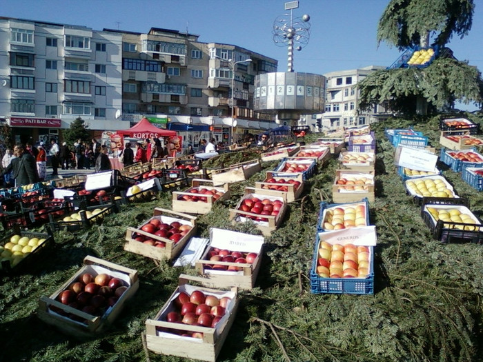 21 oct 2012-flori 039 - festivalul marului