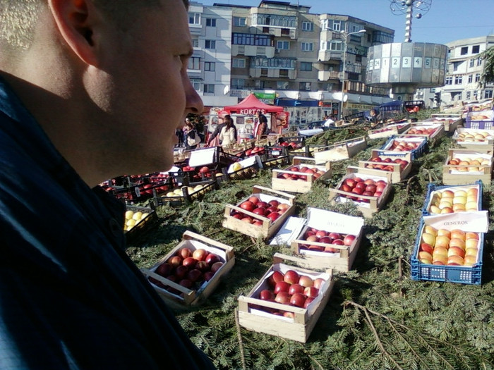 21 oct 2012-flori 041 - festivalul marului