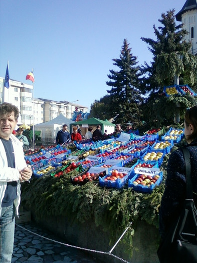 21 oct 2012-flori 044 - festivalul marului