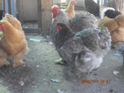 80812834_ETORBTG3