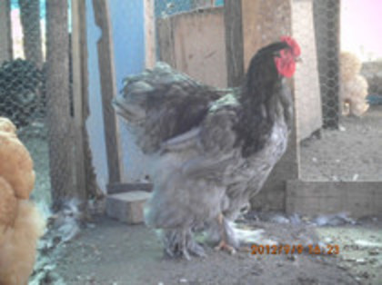 80812858_SQAFYKJ