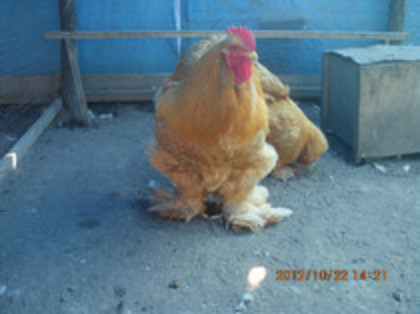 82331519_GYOQLPL3