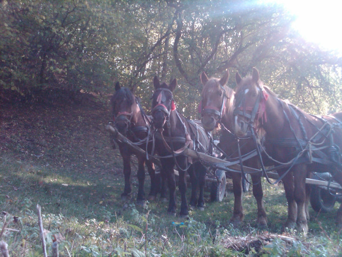 IMG00149-20121025-1422