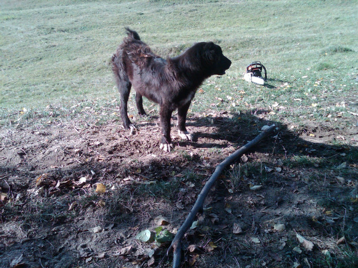 IMG00145-20121025-1411