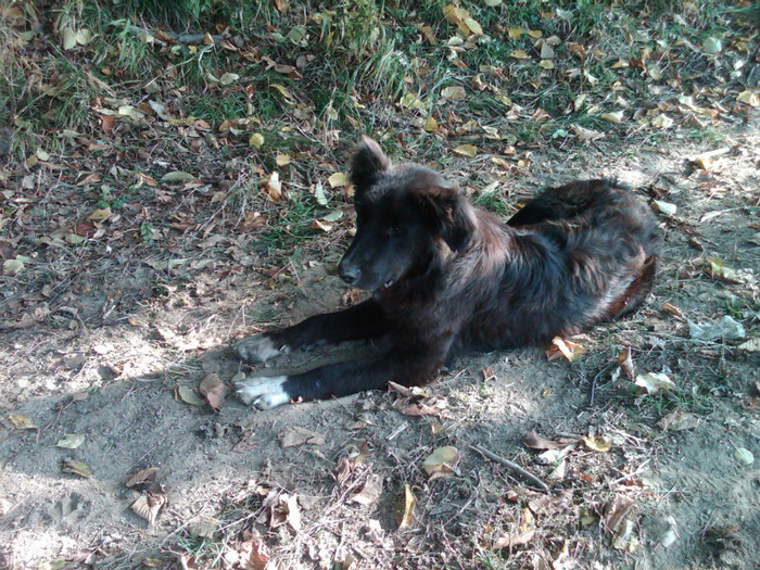 IMG00146-20121025-1414