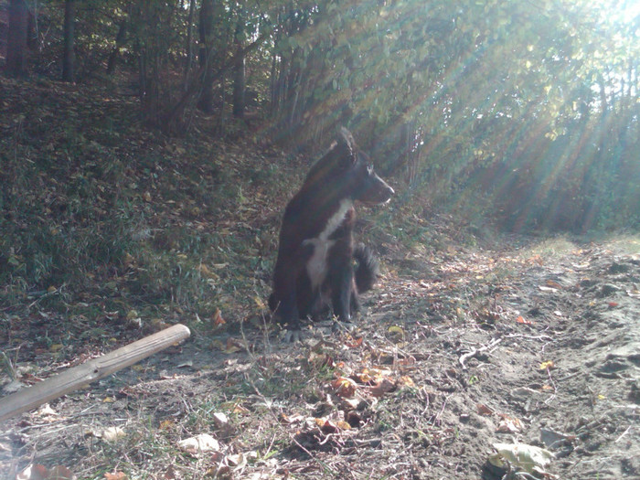 IMG00147-20121025-1421