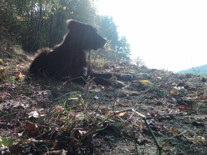 IMG00148-20121025-1422