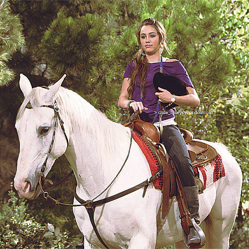 Special pics HM (26)