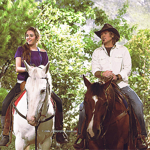 Special pics HM (27)